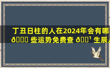 丁丑日柱的人在2024年会有哪 🐟 些运势免费查 🌹 生辰八字能有多准确